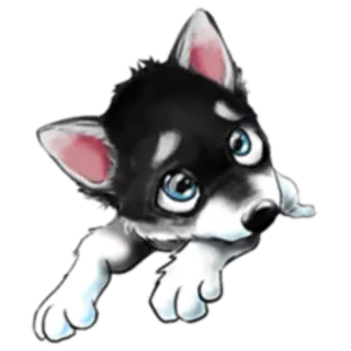 🙄 chó con, chó, động vật, dễ thương, thú cưng, husky, hoạt hình, hình minh họa telegram sticker
