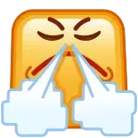 😤