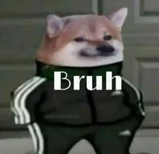 😐 Bruh 개, 밈, 브루, 아디다스, 트레이닝복 telegram sticker