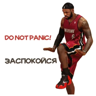✋ LeBron James DO NOT PANIC! ЗАСПОКОЙСЯ lebron james, nba, basket, meme, non fatevi prendere dal panico telegram sticker