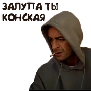 🙄 ЗАЛУПА ТЫ КОНСКАЯ russian, offensive, swear word, insult, man whatsapp sticker