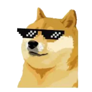 😎 Doge doge, chien, mème, lunettes de soleil, pixelisé telegram sticker