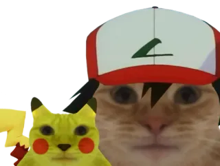 😐 kucing, pikachu, pokemon, meme, lucu telegram sticker