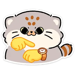 😼 Pallas cat cat, pallas cat, manul, watching time, impatient, waiting, cartoon, cute telegram sticker