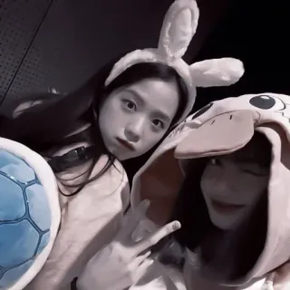 🎧 mujeres, orejas de conejo, amigos, selfie, lindo, blackpink, jisoo, sudadera pato whatsapp sticker
