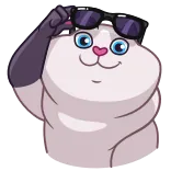 😎 mèo, kính râm, dễ thương, hoạt hình, động vật, nhãn dán whatsapp sticker