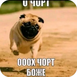 🫥 О ЧОРТ ОООХ ЧОРТ БОЖЕ whatsapp sticker