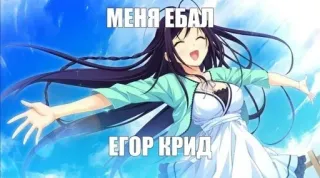 😍 МЕНЯ ЕБАЛ
ЕГОР КРИД anime, text, meme telegram sticker