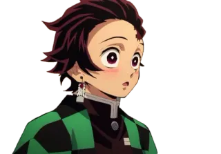 😳 Tanjiro Kamado Demon Slayer Anime, Demon Slayer, Tanjiro Kamado, Personaggio, Animazione giapponese whatsapp sticker