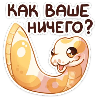 👋 КАК ВАШЕ НИЧЕГО? schlange, tier, comic, niedlich, reptil, haustier telegram sticker