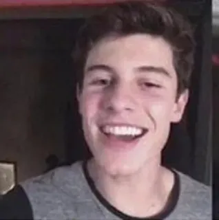 😃 Shawn Mendes celebrity, singer, smile, portrait, person, happy telegram sticker