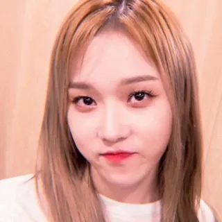 🌸 whatsapp sticker