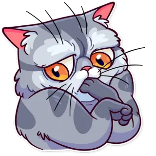 Meme Cats telegram stickers