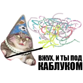 ✨ kat, feestmuts, parelketting, feest, grillig, sticker telegram sticker