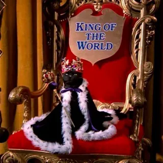 👑 KING OF THE WORLD cat, king, throne, crown, pet, animal, royal telegram sticker