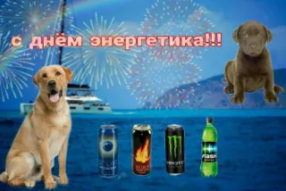 🍾 С днем энергетика!!! dog, energy drinks, fireworks, celebration, sea, boat telegram sticker
