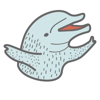 kaktusyashka whatsapp stickers