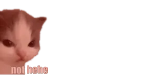 😡 not hehe gatto, meme, divertente, umorismo telegram sticker