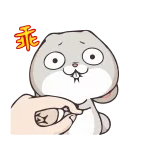 🤫 lapin, lapin, autocollant, dessin animé whatsapp sticker