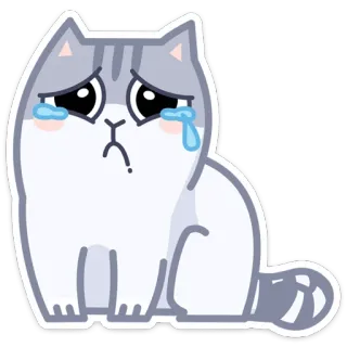 😢 gato, triste, chorando, lágrima, fofo, desenho, animal whatsapp sticker