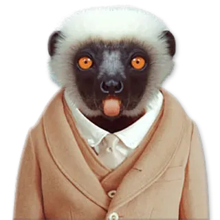 😲 Lémurien, Animal, Anthropomorphe, Drôle, Mignon, Autocollant telegram sticker