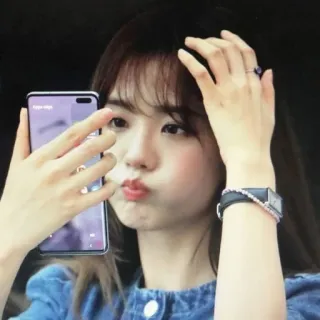 🐤 whatsapp sticker