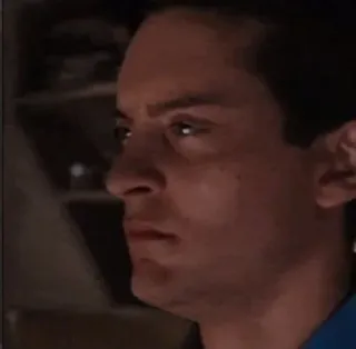 😡 Tobey Maguire Spider-Man actor, man, celebrity, tobey, maguire, spider-man telegram sticker