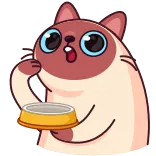 🍽