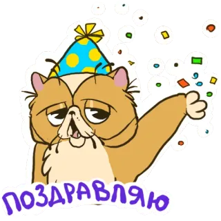 😍 ПОЗДРАВЛЯЮ gatto, festa, coriandoli, celebrazione, saluto, russo telegram sticker