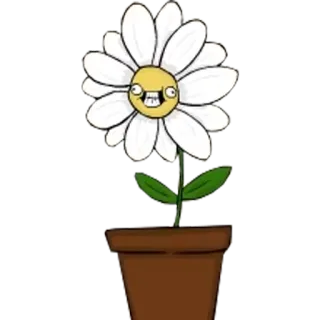 😄 fiore, margherita, pianta, vaso, cartone animato whatsapp sticker