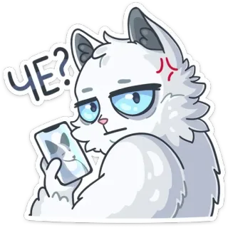 😰 ЧЕ? cat, question, confused, sticker, animal, russian telegram sticker