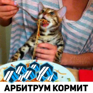 😋 АРБИТРУМ КОРМИТ chat, manger, spaghetti, drôle, mème telegram sticker