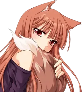One Anime Pack whatsapp stickers