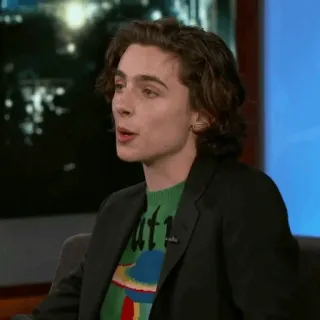 🥀 Timothée Chalamet Diễn viên, Người nổi tiếng, Timothée Chalamet, Talk show telegram sticker