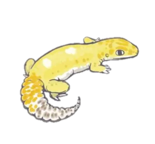 😶 Eidechse, Gecko, Tier, Reptil telegram sticker