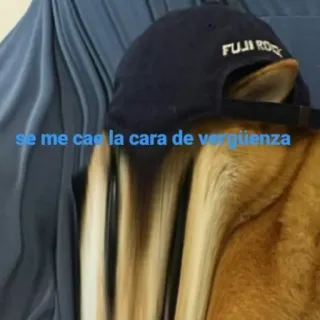 😓 se me cae la cara de verguenza dog, shame, embarrassed, meme, funny telegram sticker