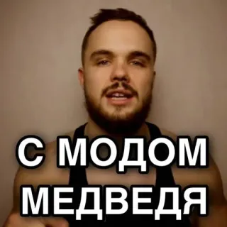 🐻 С МОДОМ МЕДВЕДЯ portrait, man, russian, cyrillic text telegram sticker