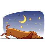 😪 개, 달, 별, 자는, 닥스훈트 telegram sticker