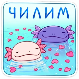 ☺️ ЧИЛИМ Axolotl, süß, Cartoon, entspannen, chillen, See telegram sticker