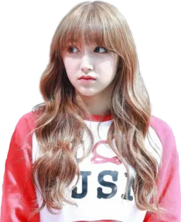 😒 JSI k-pop, женщина, девушка, портрет, мода, корейский telegram sticker