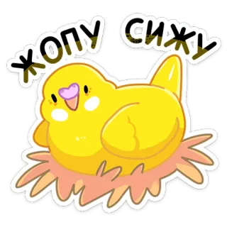 😊 ЖОПУ СИЖУ vogel, schattig, geel, nest, dier, kawaii telegram sticker