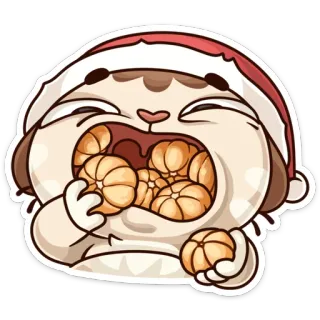 🍊 Katze, orange, Essen, Weihnachten, Mandarine, süß, Tier, lustig telegram sticker