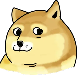 🐶 Doge doge, chien, mème, mème internet, animal, drôle, mignon whatsapp sticker
