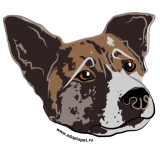 Adopt a Pet / vol.2 telegram stickers