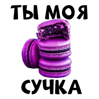 😘 ТЫ МОЯ
СУЧКА macaron, doces, sobremesa, russo, ofensivo telegram sticker