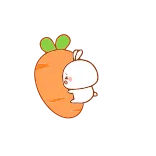 🤗 coelho, cenoura, fofo, animal, adesivo telegram sticker