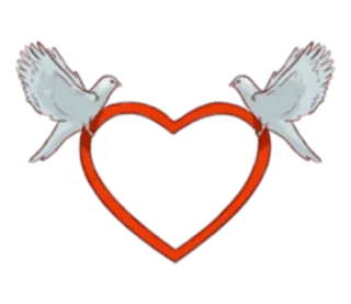 💓 amor, palomas, corazón, paz, boda telegram sticker