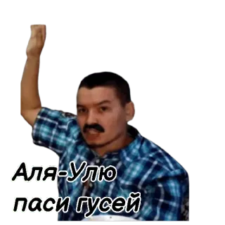 😄 Аля-Улю паси гусей uomo, russo, baffi, persona, detto, adesivo telegram sticker