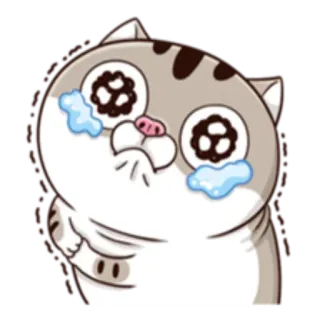 😭 猫, 泣く, 悲しい, 涙, アニメ, 絵文字 telegram sticker