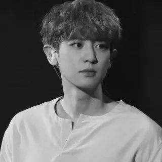 🕸 Chanyeol K-Pop, Exo, Sänger, Idol, Schwarzweiß, Chanyeol telegram sticker